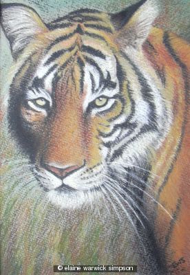 Tiger, Tiger Burning Bright Tiger, Tiger Burning Bright