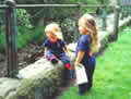 Chidren feeding ducks, Hebden Bridge